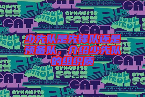 少先隊(duì)是先鋒隊(duì)還是預(yù)備隊(duì)，介紹少先隊(duì)的組織質(zhì)