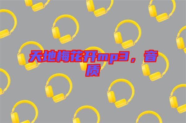 天地梅花開mp3，音質