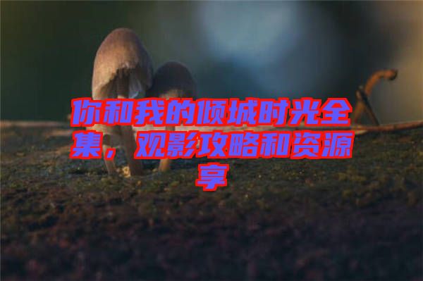 你和我的傾城時光全集，觀影攻略和資源享