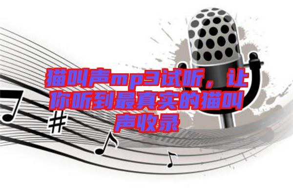 貓叫聲mp3試聽，讓你聽到最真實(shí)的貓叫聲收錄
