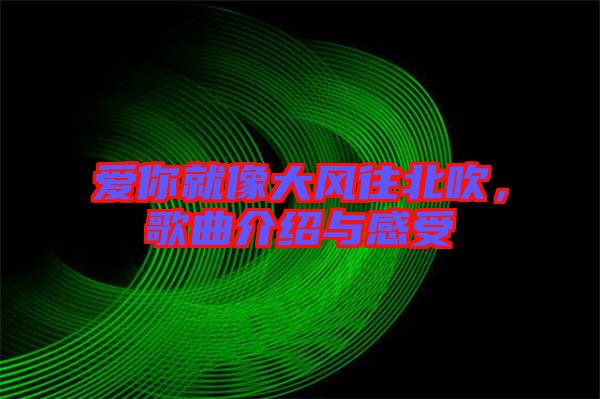 愛你就像大風往北吹，歌曲介紹與感受