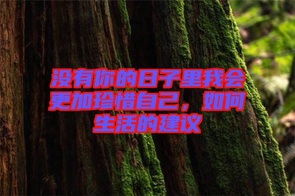 沒有你的日子里我會更加珍惜自己，如何生活的建議