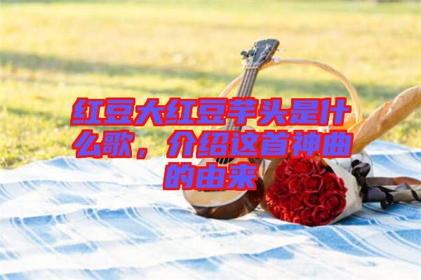紅豆大紅豆芋頭是什么歌，介紹這首神曲的由來