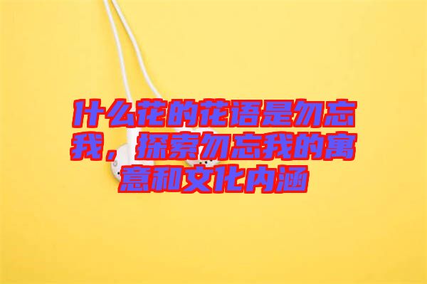 什么花的花語是勿忘我，探索勿忘我的寓意和文化內涵