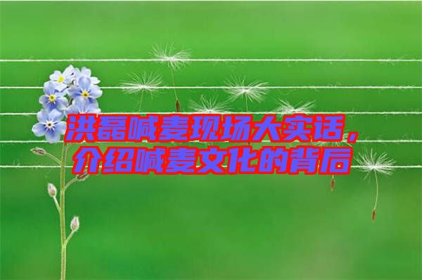 洪磊喊麥現(xiàn)場大實話，介紹喊麥文化的背后