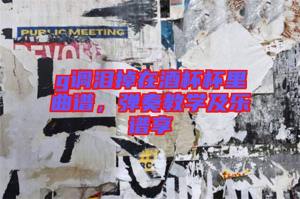 g調(diào)淚掉在酒杯杯里曲譜，彈奏教學(xué)及樂(lè)譜享