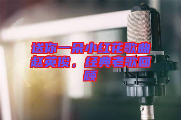 送你一朵小紅花歌曲趙英俊，經典老歌回顧