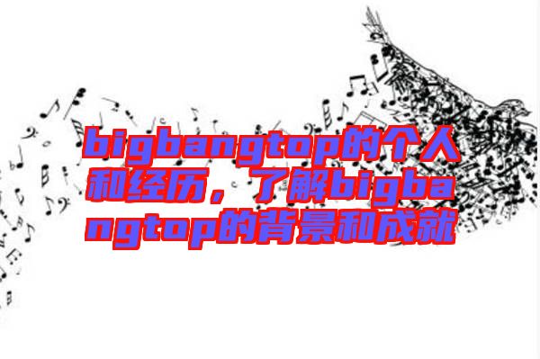 bigbangtop的個人和經歷，了解bigbangtop的背景和成就