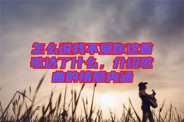 怎么說我不愛你這首歌達了什么，介紹歌曲的情感內涵