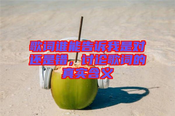 歌詞誰(shuí)能告訴我是對(duì)還是錯(cuò)，討論歌詞的真實(shí)含義