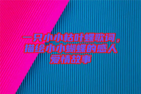 一只小小枯葉蝶歌詞，描繪小小蝴蝶的感人愛情故事