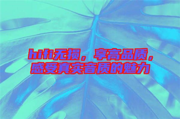hifi無損，享高品質，感受真實音質的魅力
