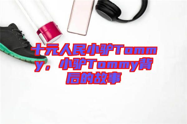 十元人民小驢Tommy，小驢Tommy背后的故事