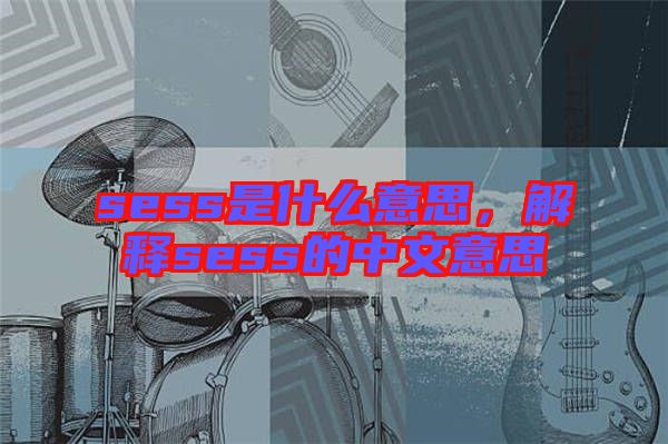sess是什么意思，解釋sess的中文意思