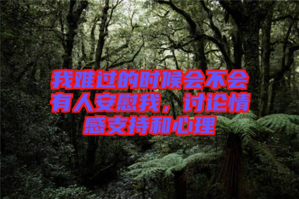我難過的時候會不會有人安慰我，討論情感支持和心理