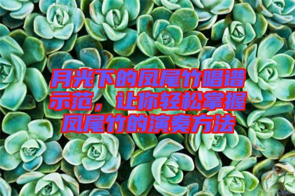 月光下的鳳尾竹唱譜示范，讓你輕松掌握鳳尾竹的演奏方法