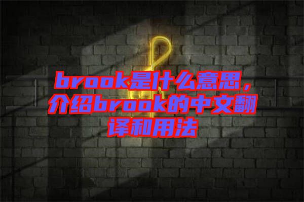 brook是什么意思，介紹brook的中文翻譯和用法