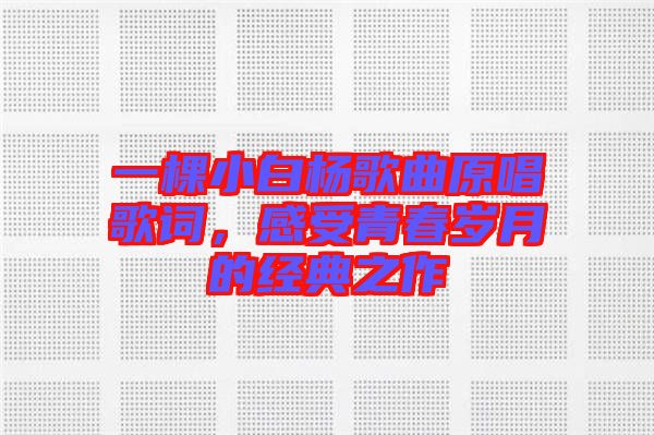 一棵小白楊歌曲原唱歌詞，感受青春歲月的經典之作