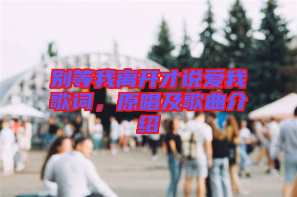 別等我離開才說愛我歌詞，原唱及歌曲介紹