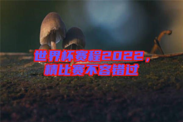 世界杯賽程2022，精比賽不容錯過