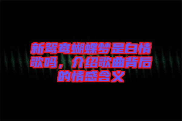 新鴛鴦蝴蝶夢(mèng)是白情歌嗎，介紹歌曲背后的情感含義
