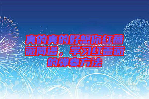 真的真的好想你紅薔薇簡(jiǎn)譜，學(xué)習(xí)紅薔薇的彈奏方法