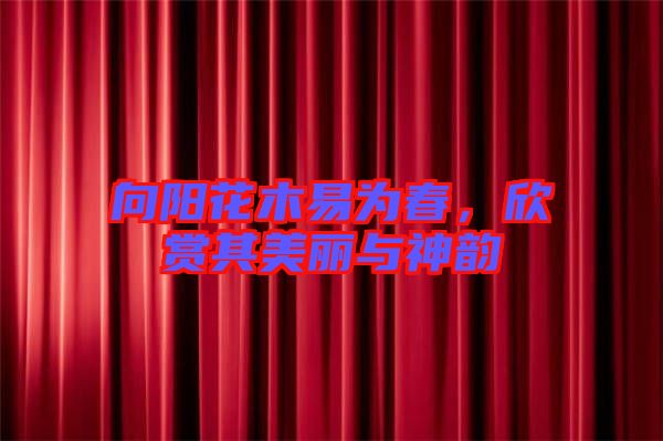 向陽花木易為春，欣賞其美麗與神韻