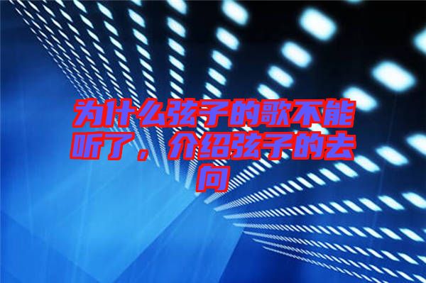 為什么弦子的歌不能聽了，介紹弦子的去向