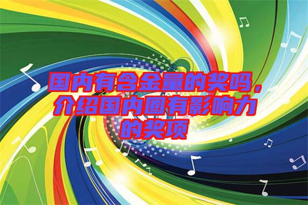 國內有含金量的獎嗎，介紹國內圈有影響力的獎項