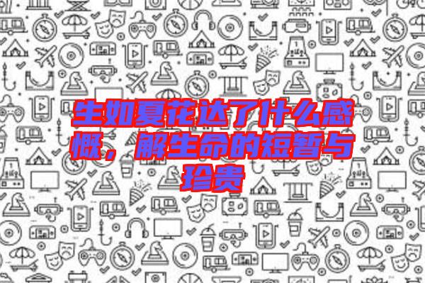 生如夏花達了什么感慨，解生命的短暫與珍貴
