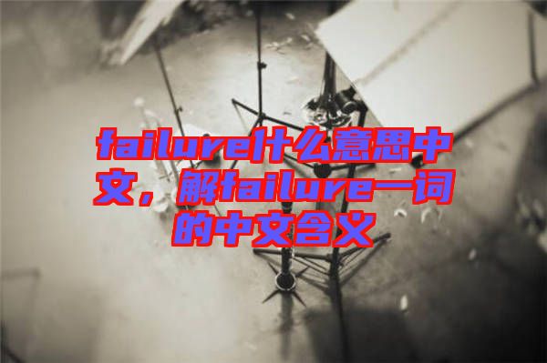 failure什么意思中文，解failure一詞的中文含義