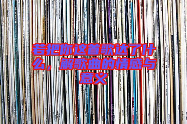 若把你這首歌達了什么，解歌曲的情感與意義