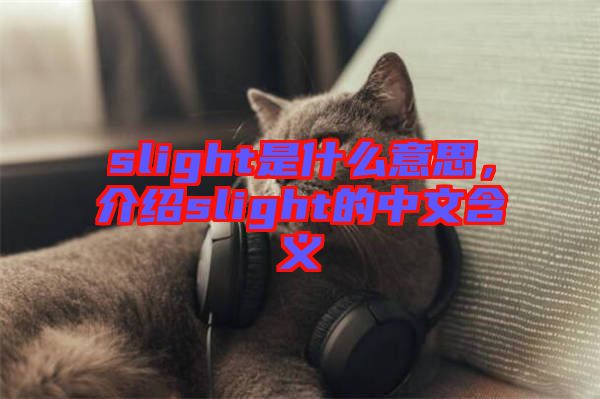 slight是什么意思，介紹slight的中文含義