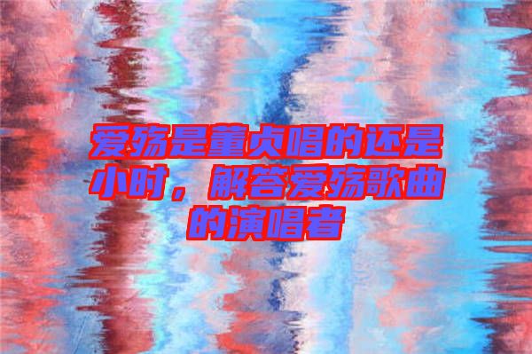 愛殤是董貞唱的還是小時，解答愛殤歌曲的演唱者