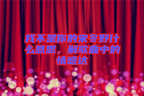 我不是你的宋冬野什么意思，解歌曲中的情感達(dá)