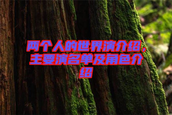 兩個(gè)人的世界演介紹，主要演名單及角色介紹