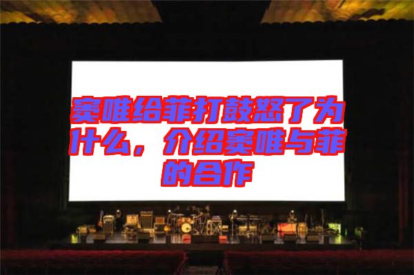 竇唯給菲打鼓怒了為什么，介紹竇唯與菲的合作