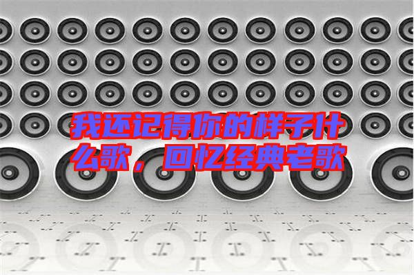 我還記得你的樣子什么歌，回憶經典老歌