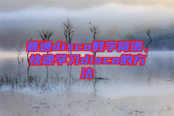 普通disco數字簡譜，快速學習disco的方法
