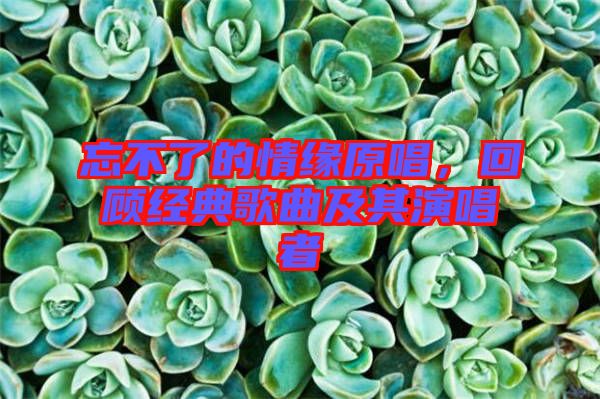 忘不了的情緣原唱，回顧經典歌曲及其演唱者