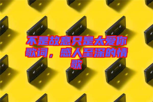不是故意只是太愛你歌詞，感人至深的情歌
