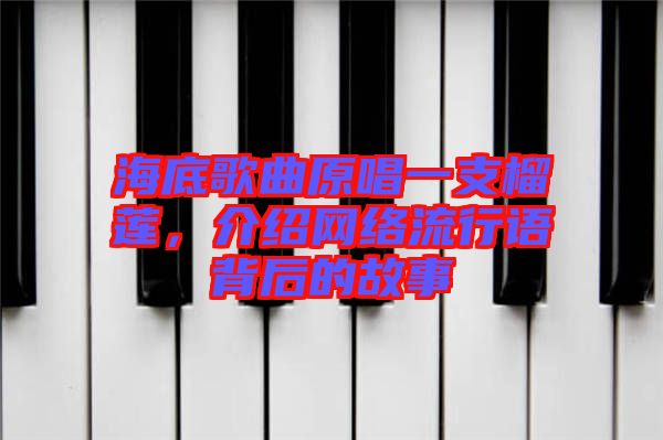 海底歌曲原唱一支榴蓮，介紹網絡流行語背后的故事
