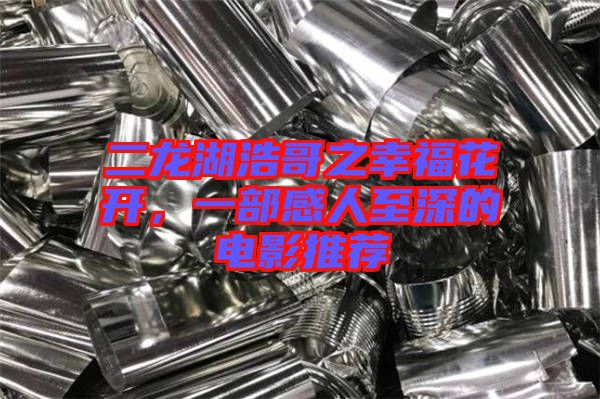 二龍湖浩哥之幸福花開(kāi)，一部感人至深的電影推薦
