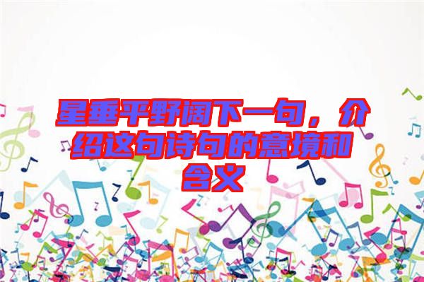 星垂平野闊下一句，介紹這句詩句的意境和含義