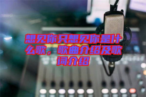 想見(jiàn)你只想見(jiàn)你是什么歌，歌曲介紹及歌詞介紹