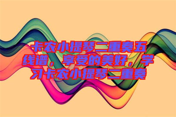 卡農小提琴二重奏五線譜，享受的美好，學習卡農小提琴二重奏