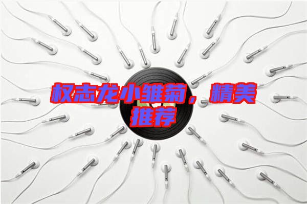 權志龍小雛菊，精美推薦
