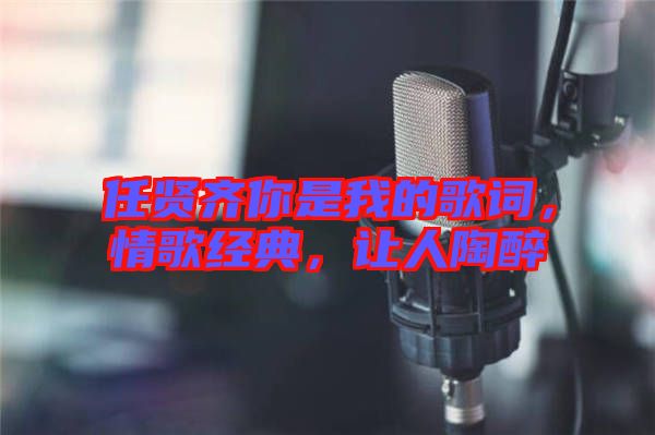 任賢齊你是我的歌詞，情歌經典，讓人陶醉