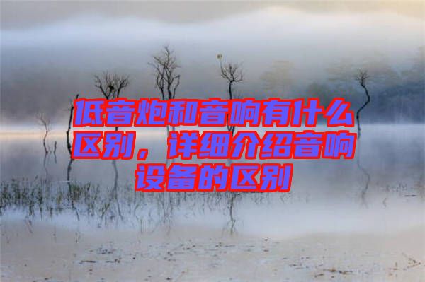 低音炮和音響有什么區別，詳細介紹音響設備的區別