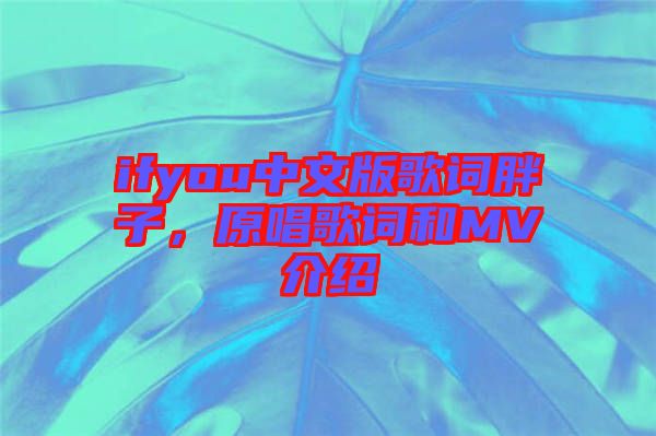 ifyou中文版歌詞胖子，原唱歌詞和MV介紹